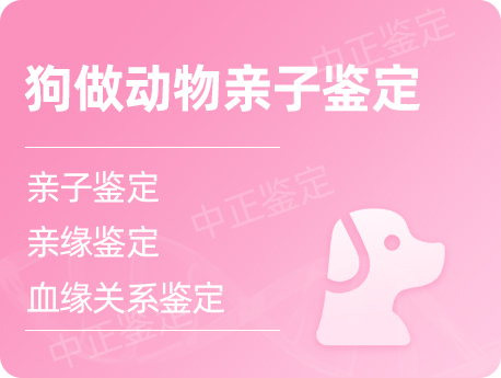 兰州狗做动物亲子鉴定
