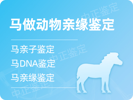 兰州马做动物亲缘鉴定