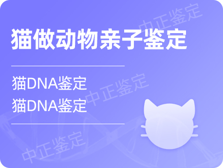 兰州猫做动物亲子鉴定