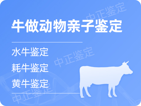 兰州牛做动物亲子鉴定