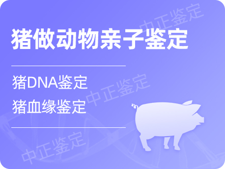 兰州猪做动物亲子鉴定