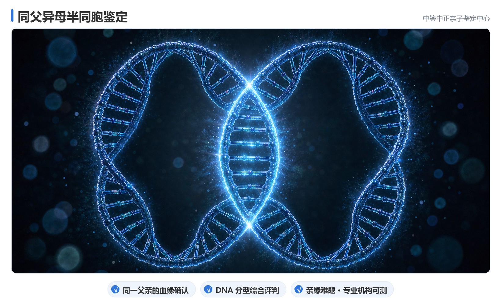 同父异母半同胞鉴定 同父异母半同胞鉴定